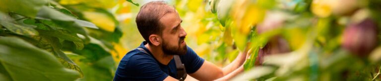 Seguros AGROPECUARIOS en Lea Artibai