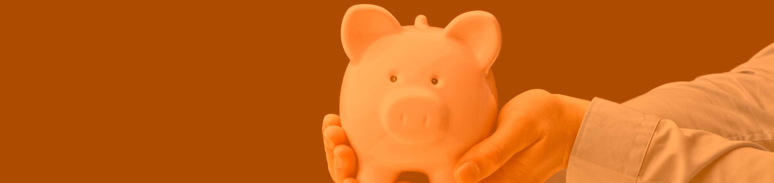 Planes de Ahorro en Lea Artibai